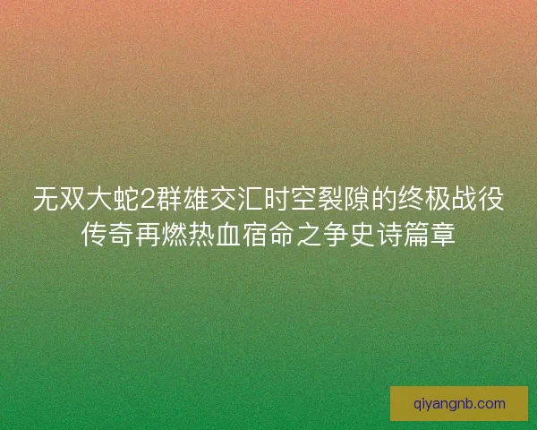无双大蛇2群雄交汇时空裂隙的终极战役传奇再燃热血宿命之争史诗篇章 无双大蛇2群雄交汇时空裂隙的终极战役传奇再燃热血宿命之争史诗篇章