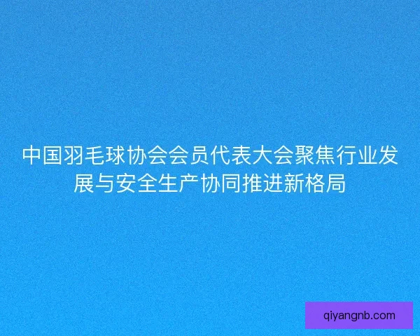 中国羽毛球协会会员代表大会聚焦行业发展与安全生产协同推进新格局